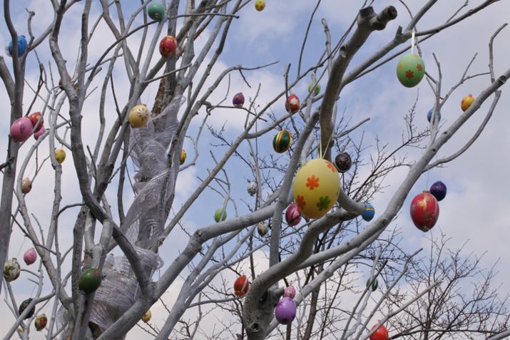 ʐ^3@F16A1/250A18.5mm