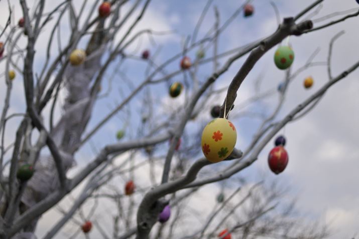 ʐ^4@F1.8A1/10000A18.5mm