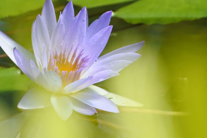 ʐ^11@F5.6A1/2000A270mm