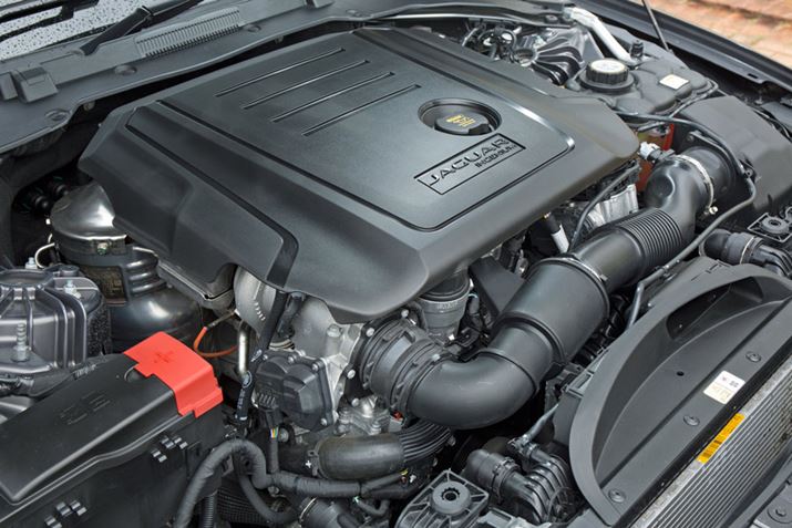 VJ̃fB[[GWCAbvɉB^AȂ̌Rʉ߂_łڂ̃GW