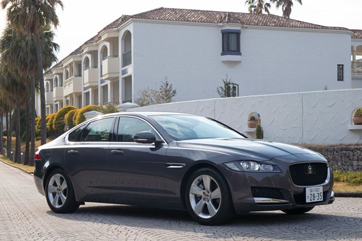 ڂ̃fB[[GW̓gNA₷ł͍łĂ