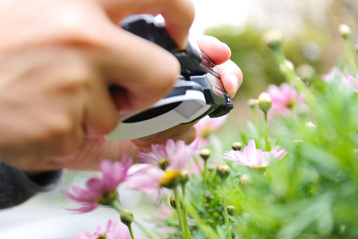 FD-1TG-4ɑăX[p[}NBeĂ݂