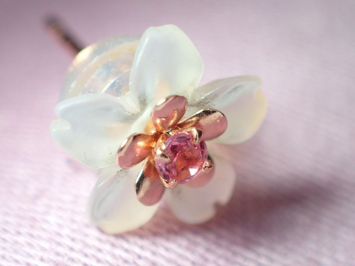 ̂悤ɃLLƖ邢ɂȂB][i35mmŊZ100mmjA1/100bAF4.9AISO100