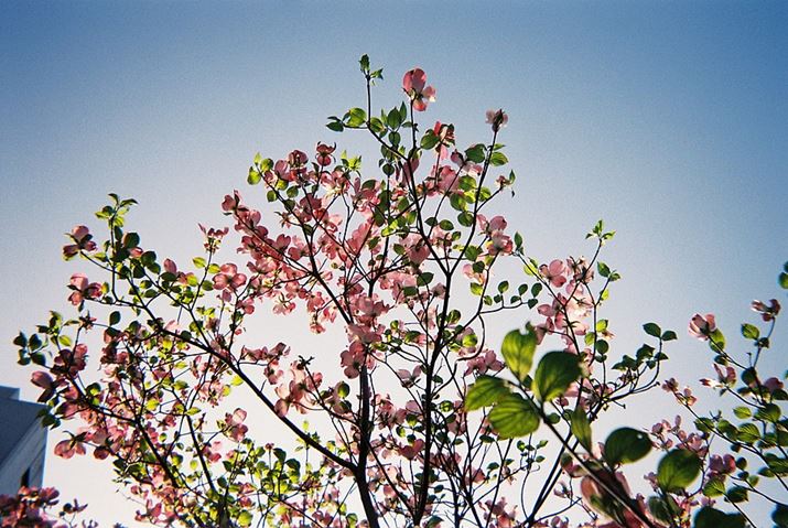 ɎBni~YLłB󂪂Ȃȋ̃Of[VɂȂ́H 