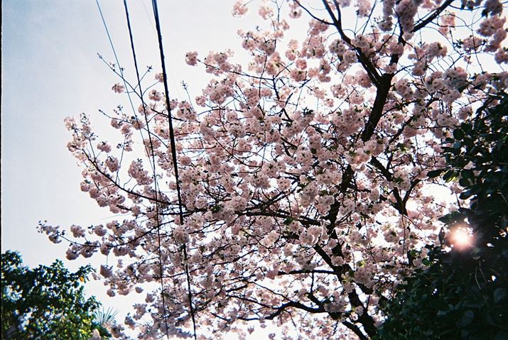 ܂炢ĂBڂŌƂԂ݂悤ȋC܂