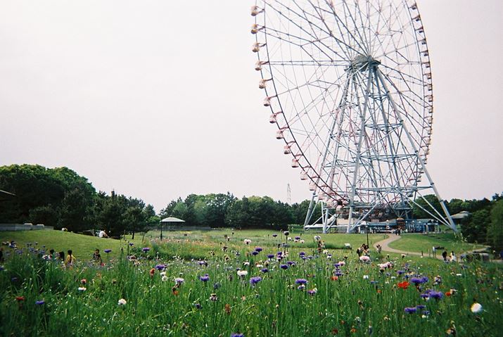 ԁÂԂƊϗԂłB܂ghۂ