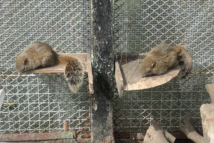 �ہX�Ƒ��������X�����������Q���B���������f�J���I