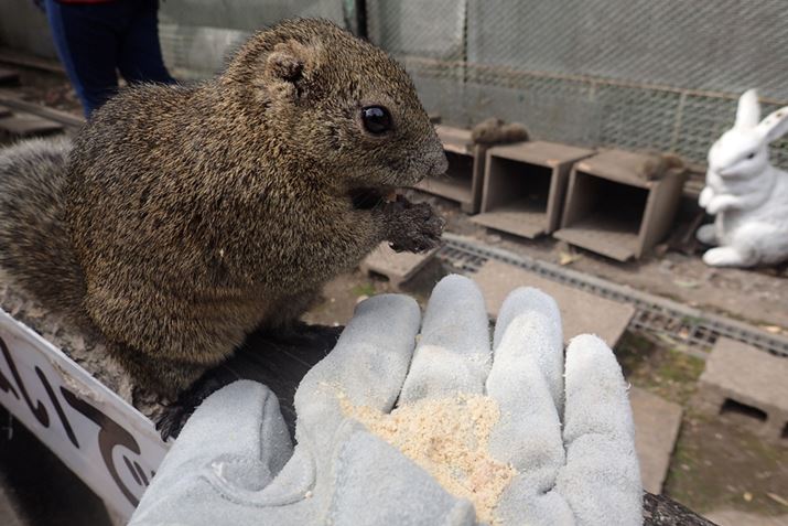 �������ɓn���ꂽ��܂𒅂��A�a���悹�Ă݂�ƌx�����������X������Ă���