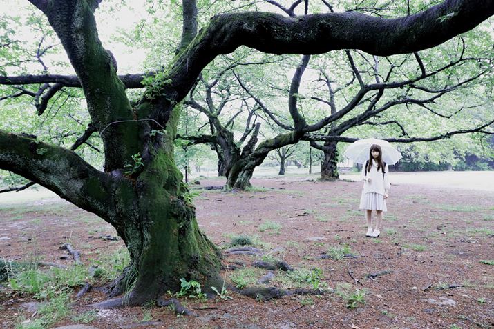 ʐ^5@F5.6A1/80AISO1600AYuEF-S10-18mm F4.5-5.6 IS STM(17mm)v