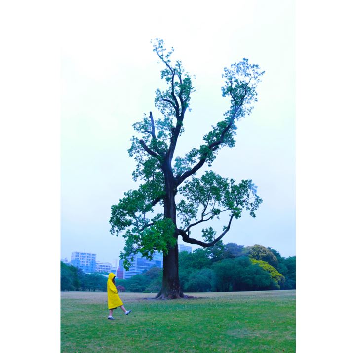 ʐ^12@F10A1/100AISO100AYuEF-S18-55mm F3.5-5.6 IS STM(18mm)v