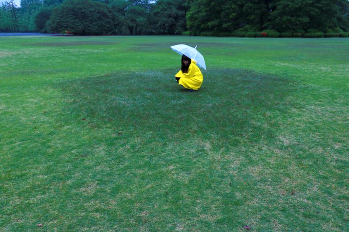 ʐ^13@F13A1/100AISO100AYuuEF-S18-55mm F3.5-5.6 IS STM(18mm)v