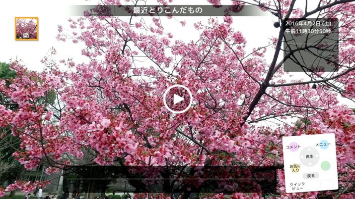 X}zŎBeʐ^⓮eȓʂŌƁA͂͂⊴{I