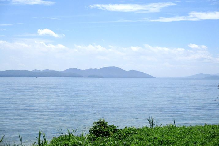 i΂̗lqBĂ̔i΂́A}W[̃bJI