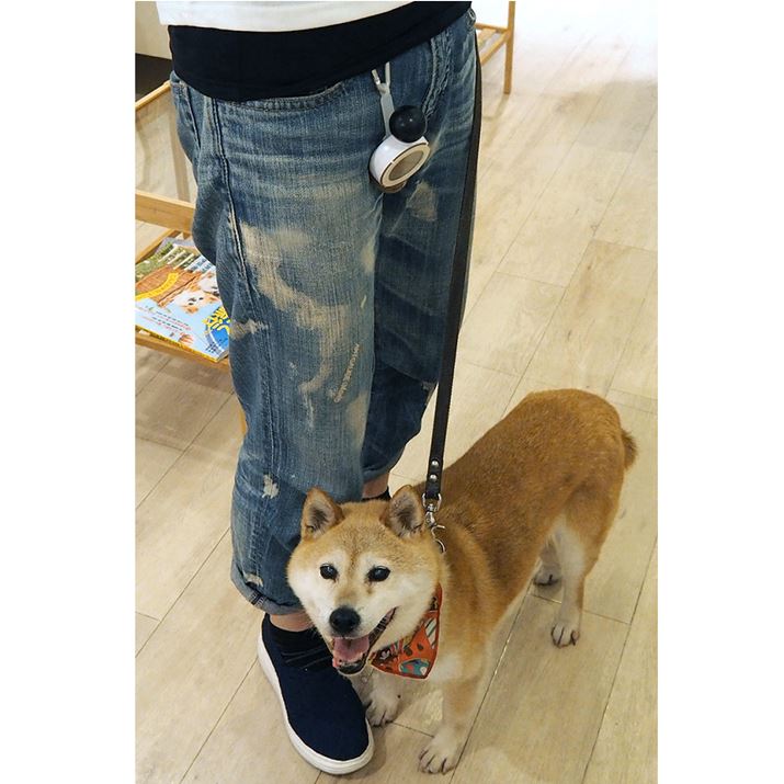 xgɑĂ΁AȂYꂸɌgтĕƂł܂