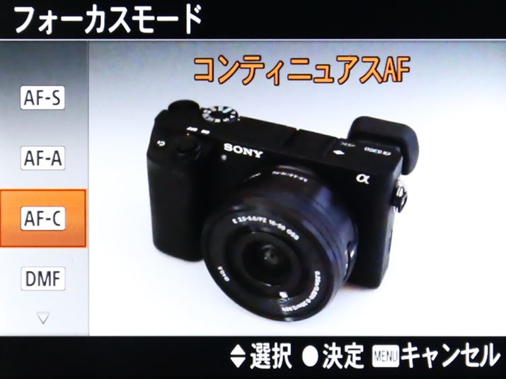 ׂẴYAF-A/AF-C͓ΏۊOƂȂĂ邪AIėp邱Ƃł