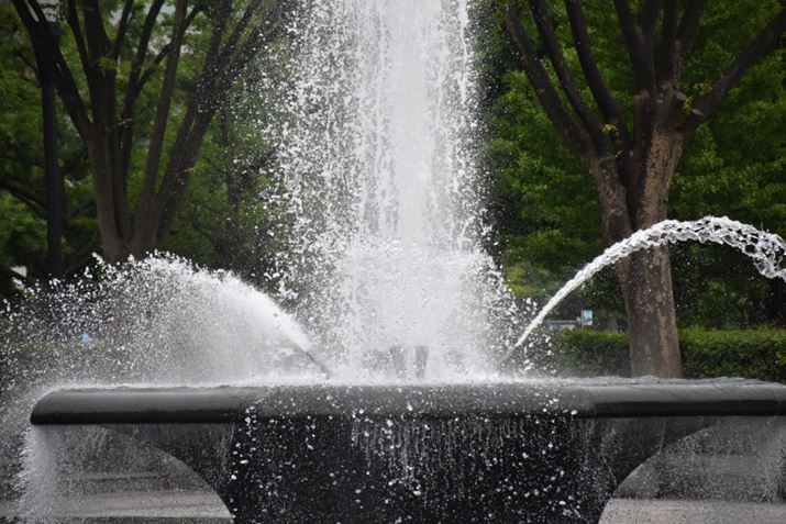 ʐ^1@1/1600 bAF5.6AISO 800