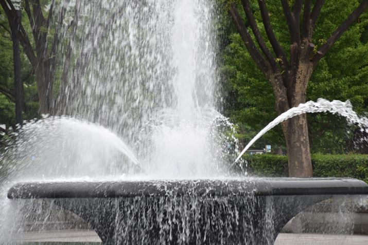 ʐ^2@1/100 bAF/8AISO100