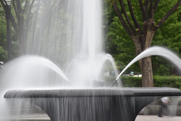 ʐ^5@1/4bAF/36AISO100