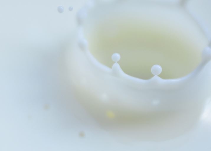 ʐ^8@1/4000bAF/3.5AISO 1000A{1␳