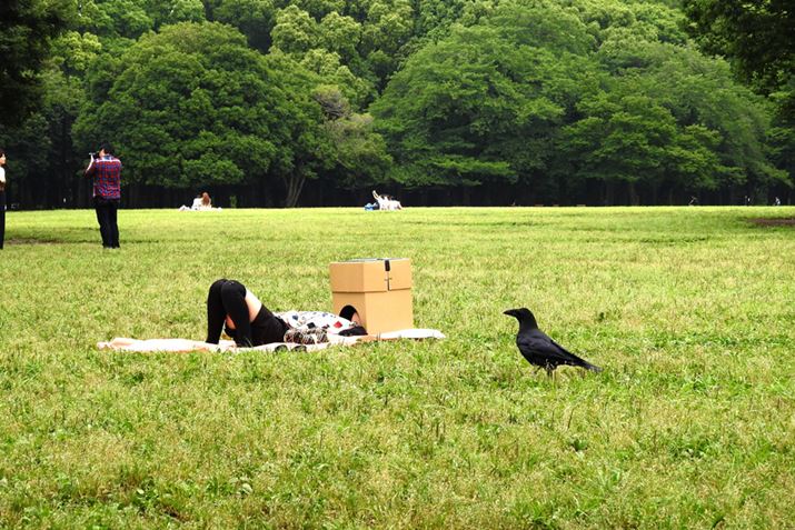 ̒̓JX̐ڋ߂ɂ܂CÂAォʐ^Ēm