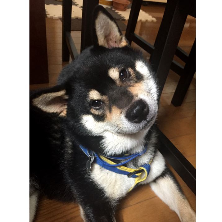 [AejX{[ł͂ȂAM҂ĂCłĈł傤H eoJHi΁j