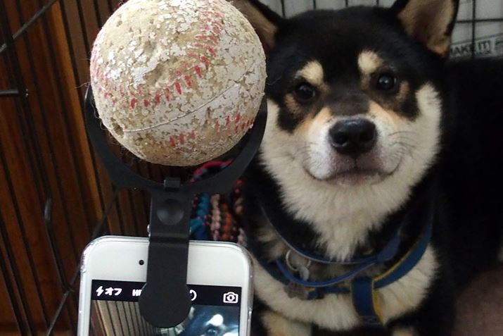 t̃ejX{[͒EȂ̂ŁAx͂Cɓ̃{[𑕒Ă݂܂