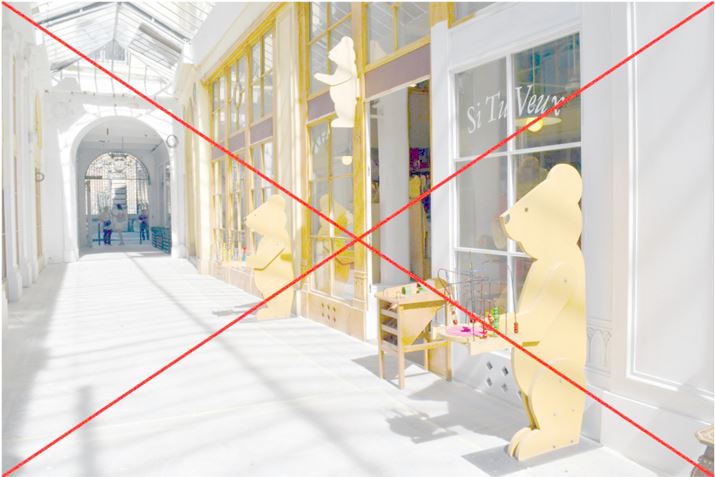 ʐ^4@1/800bAF/14A ISO 1000AgpY/AF-S DX NIKKOR 18-55mm f/3.5-5.6G VR II