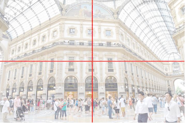 ʐ^8@1/250bAF/8AISO1000AgpY/ AF-S DX NIKKOR 18-55mm f/3.5-5.6G VR II