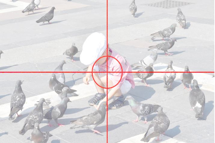 ʐ^12@1/800bAF/14AISO1000AgpY/ AF-S DX NIKKOR 18-55mm f/3.5-5.6G VR II