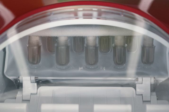 6A̐x^Nɖ߂ƂłXpAɗƂ