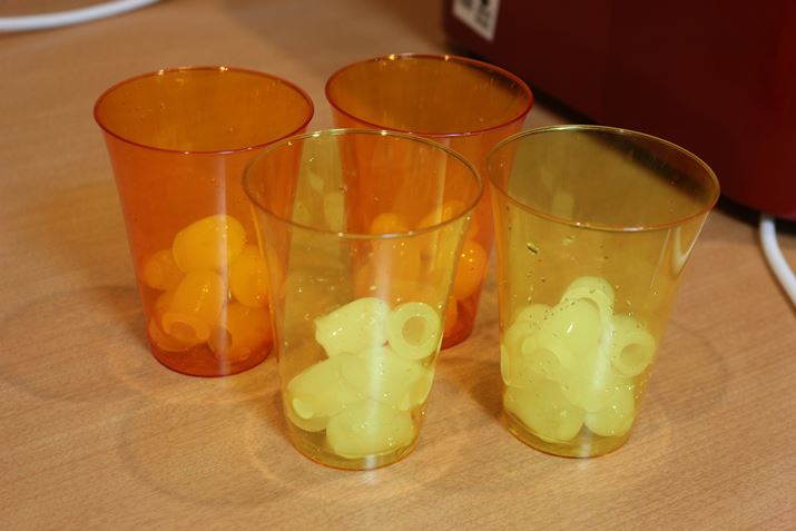 4^[ڏIi24o߁j_ł̃oXPbg̒gRbvɏoĂ݂BOX4tx̗ʂ͂邾낤