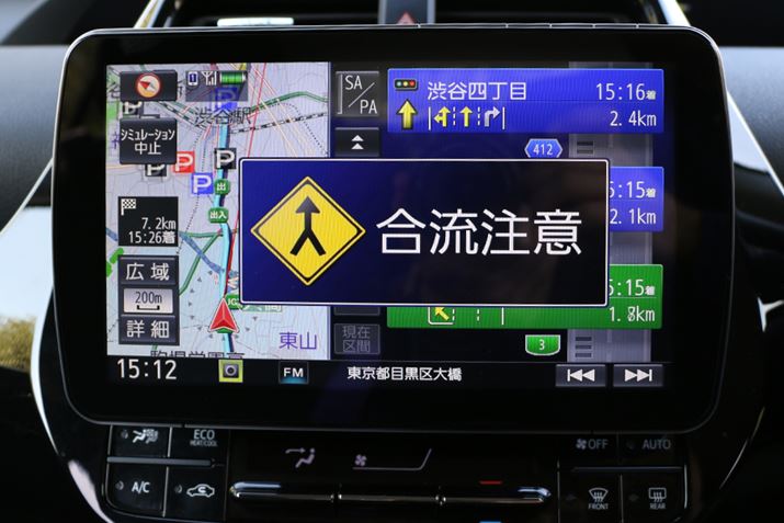 Ȃǒӂׂ|Cgł́A傫ӊN̕\o