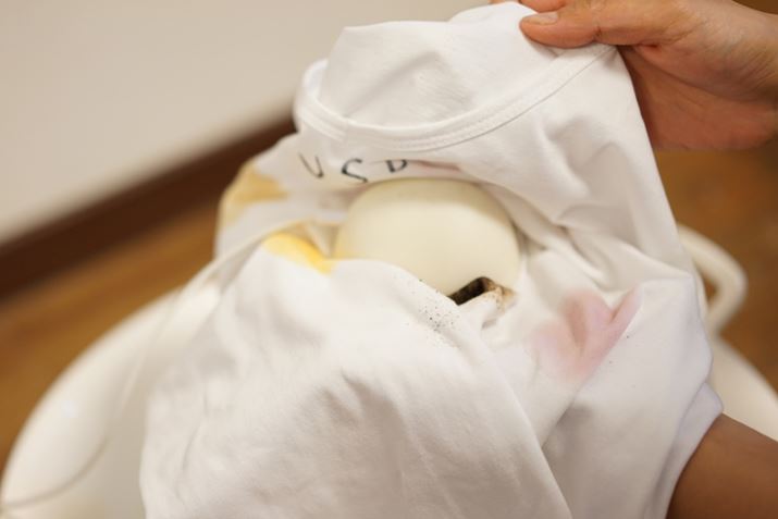 uǂłUSB@@EHbVuv́A̕悭U悤TVcŕ݂܂