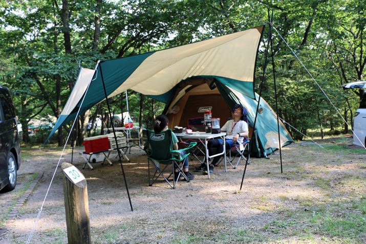 egƃ^[vAgƁA}ɉJ~ĂĂGꂸɃegɓ܂ˁB߂邱ƂA^[vقK