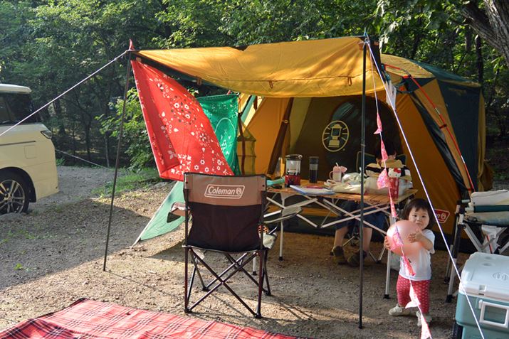 2̕zɎgO猩ɂHvBtbOĂAJtŖڂ܂BIɃAWĂl͑ł