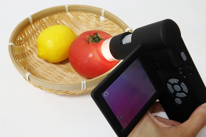 ώ@mɃY܂BŶ͉قɑĂ̂ŁAʑ̂ɓĂĂȂ