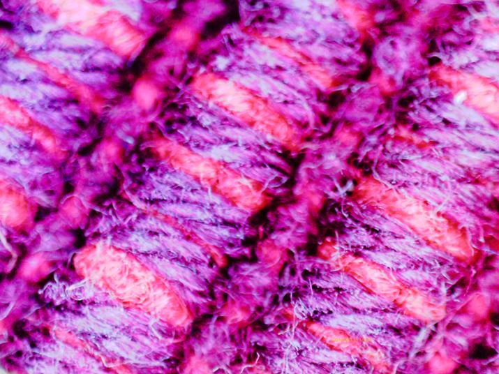 CȂ^I400-CAM025ŌĂ݂AFN₩ȕ̎ŕ҂܂Ă邱ƂɋCt悤