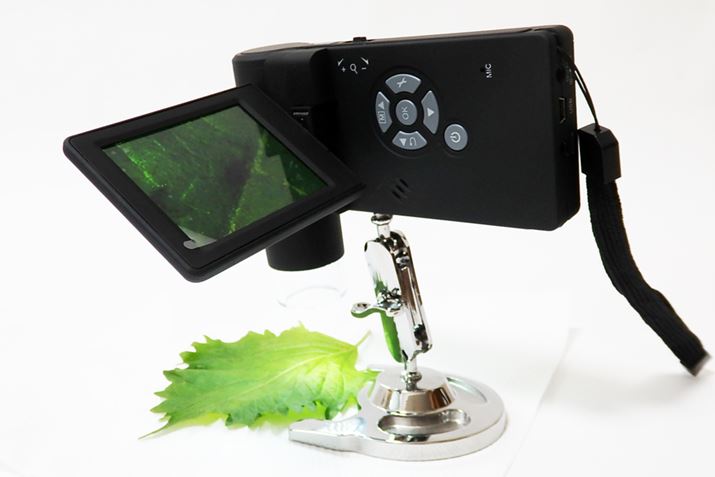 X^htĂ̂ŁA莝ł͏ɎBełȂƂSI