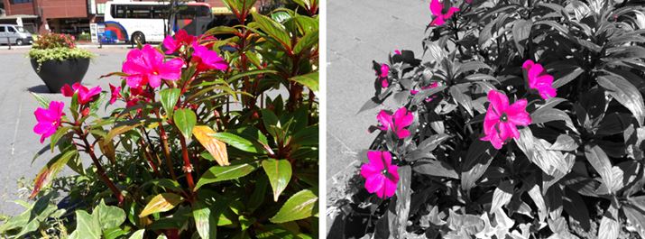 Beɓ̐FcămNʐ^ɎdグuXvbVvBBe̕ҏW@\[Ă