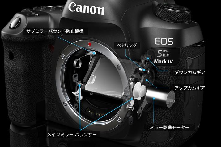 Canon - Canon 5D ミラー落ち対策済みの+inforsante.fr