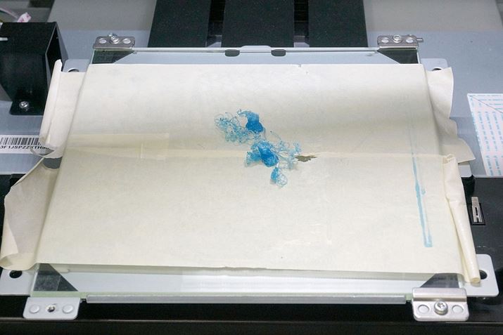 �����ăv�����g���Ă݂����ʂ�������I�@���s�I �E���[���I�I�i���j�@