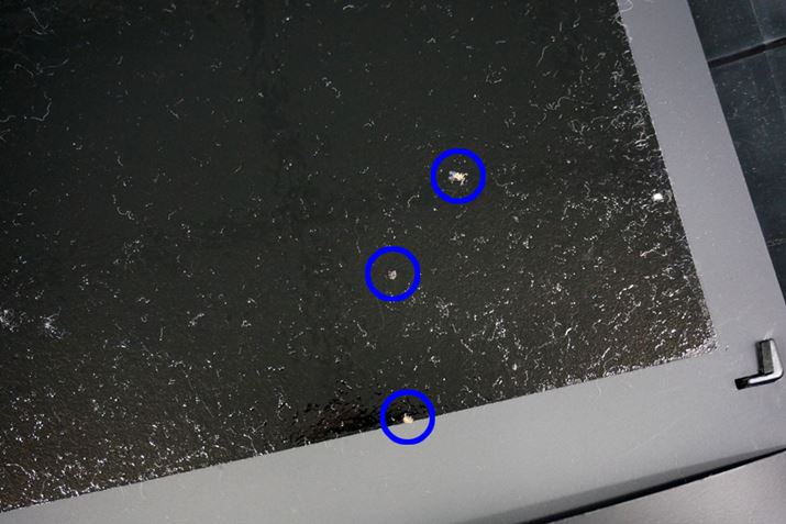 ͕߂Ȃ̂́AoG3Cߊlł܂