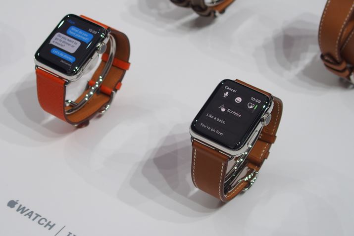 Apple Watch Hermes