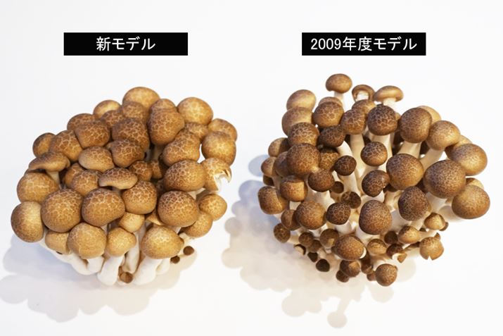 xRg[s\2009Nxf̂ق́A߂ďȂĂ܂܂