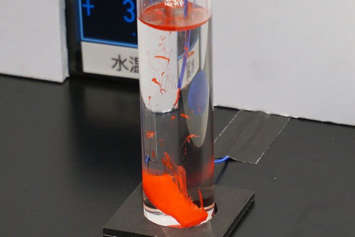 ۂA40̉ɓꂽ̂͂ɖꂾ܂Bɂyf̓̈ႢI