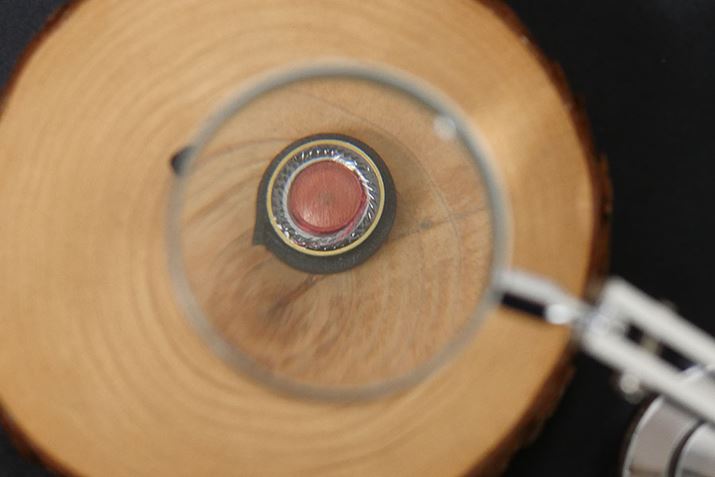 WOOD innerV[Yō̗pĂEbhh[jbgB̒FA50m̖؂̐U