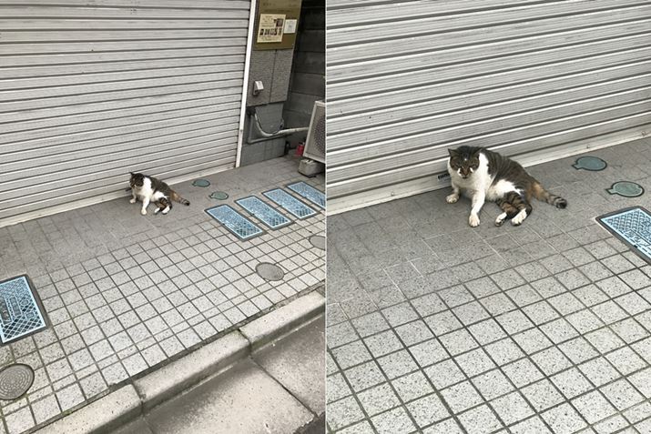 iPhone 7 PlusŎBeLBu1×vAEu2Xviw2{Y[j