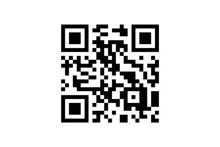 ꂪQRR[hB̒ɁA╶AURLȂǂ̊e𖄂ߍ܂Ă