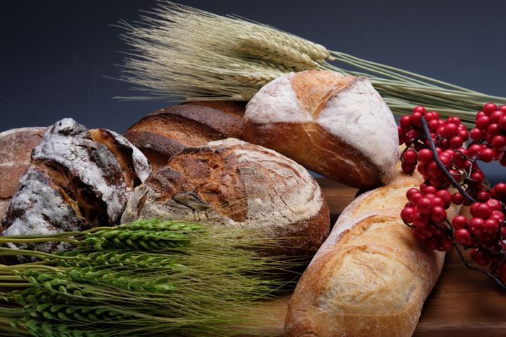 ʐ^1@F16A1/250AISO200AgpYFFUJINON LENS XF35mmF2 R WR