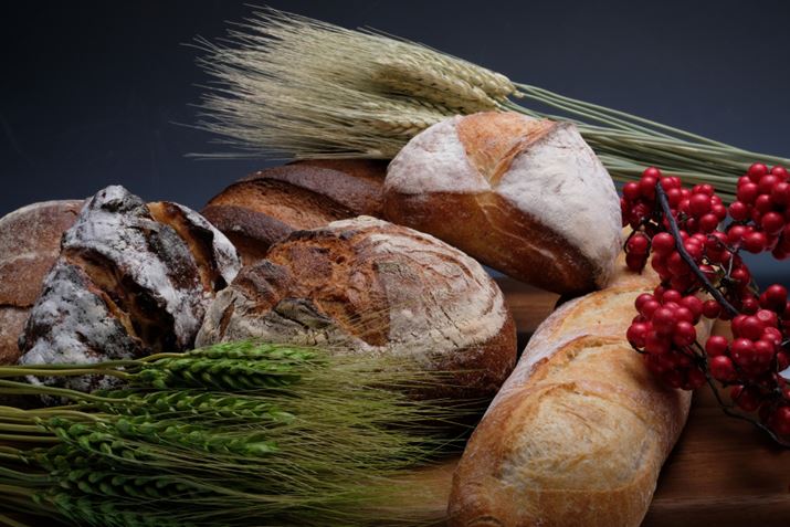 ʐ^2  F16A1/250AISO200AgpYFFUJINON LENS XF18-55mmF2.8-4 R LM OIS